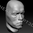ArnoldSchwarzenegger_Head3dScan7.jpg 3D-сканированное изображение головы Арнольда Шварценеггера Lifecast Head (Терминатор, T800, Хищник, Конан-варвар, Коммандос, Полный отзыв, Правдивая ложь, Бегущий человек)