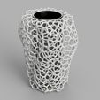 Capture-d’écran-2022-06-26-140539.jpg Voronoi Vase