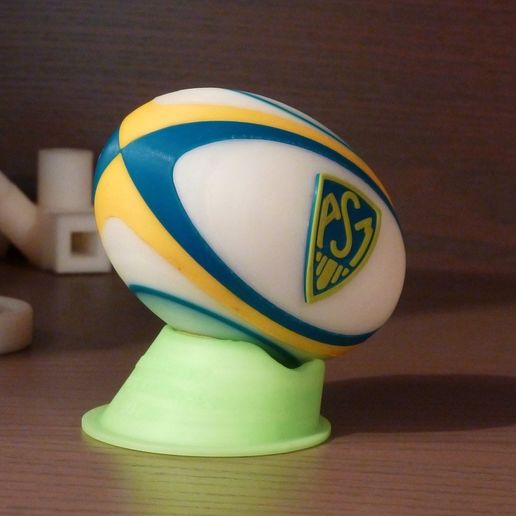 Ballon ASM - Champion of France !!