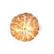 3.jpg LARANJA Maçã LARANJA Banana Uva Ogum Manga Pera Papaia Mexilhão Limão LARANJA Tangerina Tangerina inteira descascada