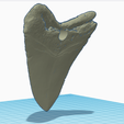 Screenshot-2023-02-21-at-18.17.26.png Megalodon tooth pendent