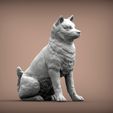 shiba-inu1.jpg shiba inu 3D print model
