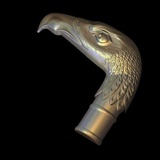 9_1.jpg manche de canne de vautour