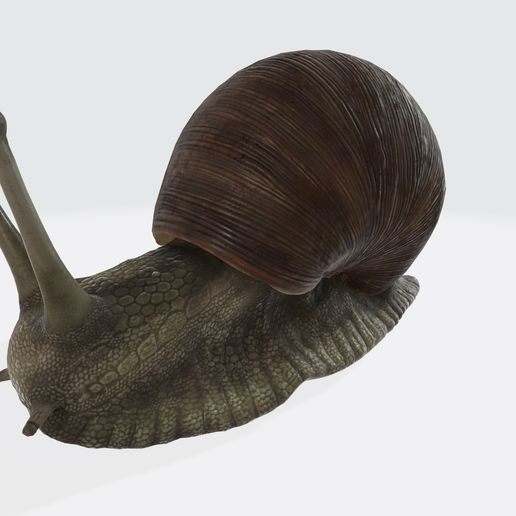 🐌 SNAIL REPTILE GARDEN・ STL File for 3D printing・Cults