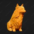 687-Australian_Terrier_Pose_05.jpg Australian Terrier Dog 3D Print Model Pose 05