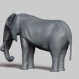 R04.jpg african elephant pose 01