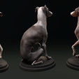 Dog_07.png Italian Greyhound - Dog Pet 04 Posed