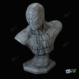 Spider-man-front-3d-model.png Homem-Aranha