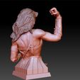 WonderWoman_0028_Layer 5.jpg Wonder Woman Gal Gadot 3d print bust