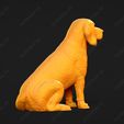1253-Beagle_Pose_04.jpg Beagle Dog 3D Print Model Pose 04