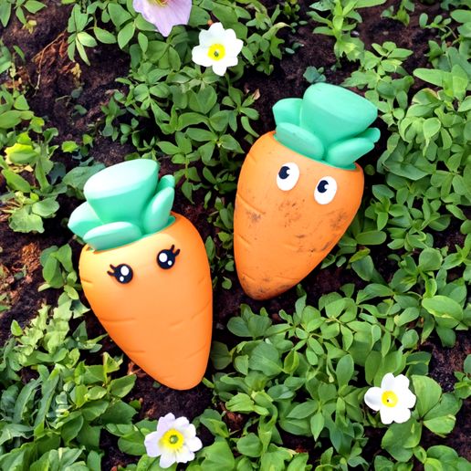 carotte15.jpg Carlo the Carrot Container