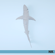 GREAT_WHITE_NK_07.png FLEXI ARTICULATED GREAT WHITE SHARK