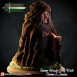 5.jpg The Witch - Character sculpt for 3D printing and rpg games