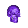 BorgSkull_V001.stl Crâne de Borg
