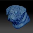 Shop8.jpg English Bulldog Pug Dog Head Portrait