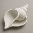 BABC88D1-0B71-489B-9CF5-5314AF942888.jpg Seashell Jewelry Tray catchall bowl entry