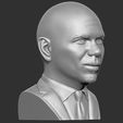 10.jpg Pitbull bust 3D printing ready stl obj formats