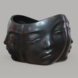 YY.jpg MULTI-FACE PLANTER POT