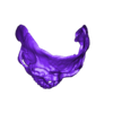 Skull_face.stl Skull mask w movable jaw