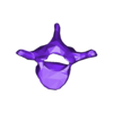 VertebralColumn25.stl Skeleton vertebral column torso bones (90 bones)