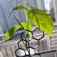 1644744008846.jpg Hexagonal plant support