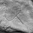 l4.png Leaf Mineral Fossile - Realistic Printable Resin