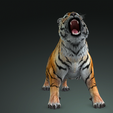 0_00071.png TIGER DOWNLOAD Bengal TIGER 3d model animated for blender-fbx-unity-maya-unreal-c4d-3ds max - 3D printing TIGER CAT CAT