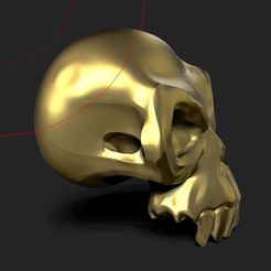 2022-07-18-15_36_14-ZBrush.jpg OBJ file skull and crossbones wow・3D print design to download