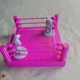 20240328_171154.jpg Wrestling Ring