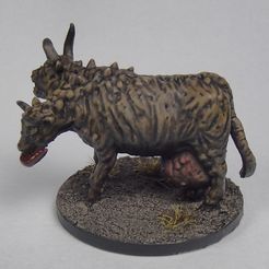 Brahmane