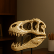 ChatGPT-Image-24-de-ago.-de-2025,-03_04_15.png Dinosaur Skull Display Stand