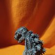 IMG_20230308_003253.jpg Shin Godzilla Anatomy Cut Away Model Bust Sculpture