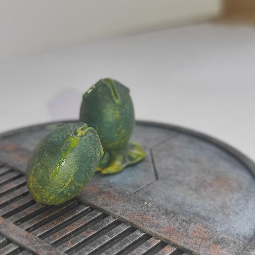 1744900265416.jpg Alien Xenomorph's Egg