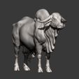 Gyr-Bull12.jpg Gyr Bull 3D print model