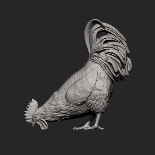 rooster-eats8.jpg El gallo come