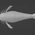 Jaekelopterus3D_03.jpg Sea scorpion (Jaekelopterus rhenaniae)
