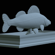 Zander-statue-27.png fish zander / pikeperch / Sander lucioperca statue detailed texture for 3d printing