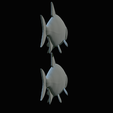 Bream-fish-33.png fish Common bream / Abramis brama solo model detailed texture for 3d printing