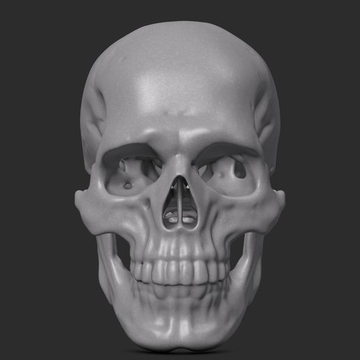 Skull