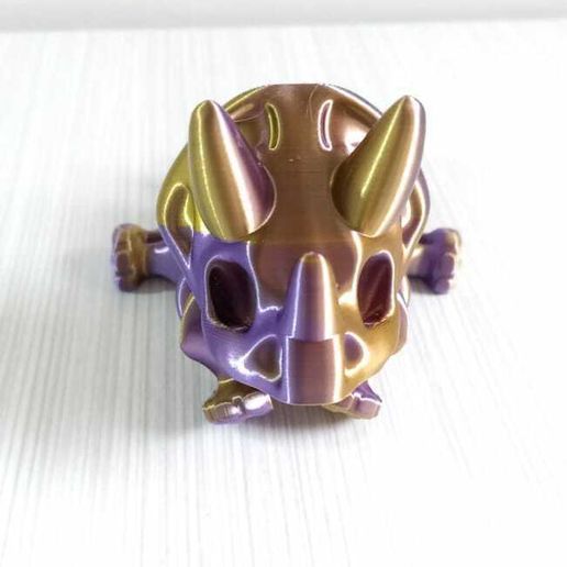 WhatsApp-Image-2023-08-01-at-8.01.20-AM-2.jpeg Nice Triceratops Skeleton