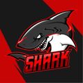 Shark_Boys