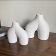 IMG_2430.png Set of 2 Minimalist Vases, Nordic, Bohemian Style