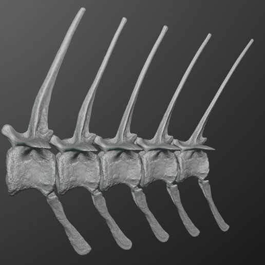 spinosaurTail_preview01.jpg 3D file Spinosaurus Tail Section・3D printable design to download, LordTrilobite
