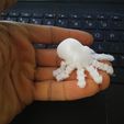 20210803_073432.jpg Articulated mini Octopus