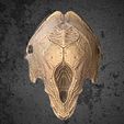 Image03.jpg FERAL PREDATOR skull helmet from the movie Prey