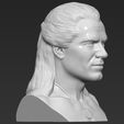 9.jpg Geralt of Rivia The Witcher Cavill bust 3D printing ready