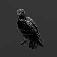 Screenshot_15.png Low Poly - Noble Eagle Magnificent Design