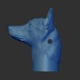 Shop4.jpg Dog whistle Malinois head motif
