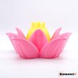Multifunctional-Lotus-Flower.jpg 3D-Datei (Multifunktionale) Lotusblume・Design für 3D-Drucker zum herunterladen
