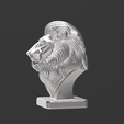 Captura-de-pantalla-2025-06-09-014710.png Lion Bust